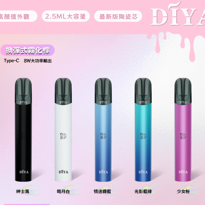 DIYA叮啞主機/通用一代主機