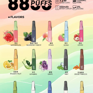 【滿10送1請備注口味】🌟 CHILL 一次性抛棄式電子煙💨 8800口超長持久💥 | 10種口味任你選🍒🍏 | 熱門爆款🔥 立即體驗！